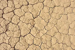 Algerian Desert Landscape Prints: Dried out clay surface of upper Ouksem crater