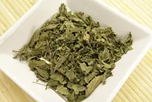 Medicinal Herb Uses Prints: Dried nettle