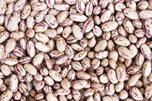 Full Frame Plant Images Prints: Dried patterned beans