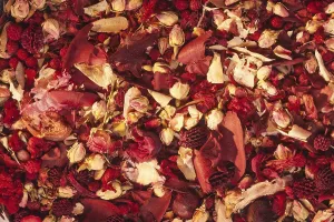 Fragrant Plant Studio Shot Prints: Dried petals