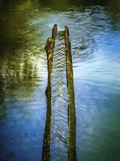 Open Air Waterfront Photos Prints: Drinking water from a spring flows into a lake