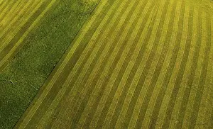 Salzkammergut Aerial View Prints: Drone image, structure of a mown meadow