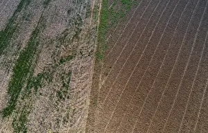 Agricultural Landscape Photography With Drone Prints: Drone view of harvested fields