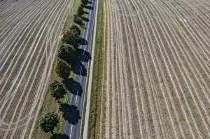 Aerial Photography Austria Prints: Drone view of a tree-lined road between harvested fields