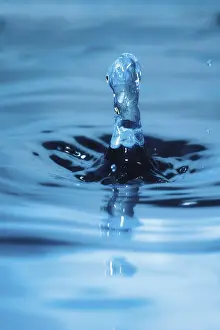 Indoor Studio Photography Prints: Drop of water
