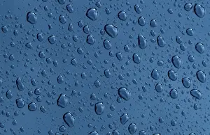 Water Drops Prints: Drops of water