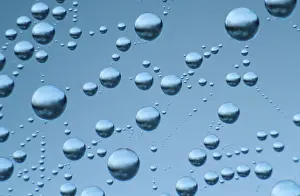 Uninhabited Waterside View Prints: Drops of water in spider web
