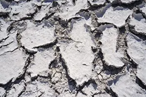 Etosha National Park Namibia Prints: Drought mud patterns with cracks on the ground