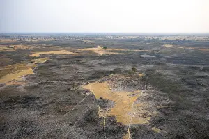 Prints of Dry season, structure and pattern of trails, burnt landscape, aerial view of the Okavango Delta, near Maun, Okavango Delta, Botswana Maun Prints: Dry Season Landscape Print, Okavango Delta, Botswana