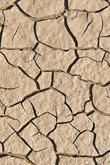 Clay Soil Cracks Prints: Drying cracks in clay soil, background image