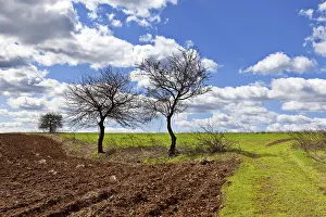 Deserted Spring Landscape Prints: Early Spring