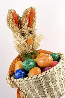 Framed Print : Easter Bunny Print Framed Print : Easter Bunny Print