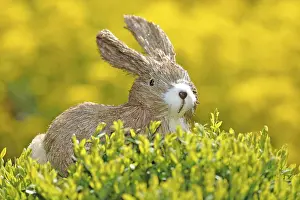 Easter Bunny Figurine Prints: Easter bunny figure