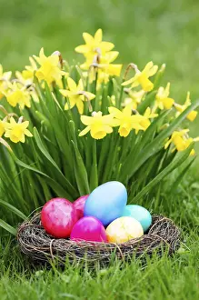 Colorful Easter Traditions Prints: Easter, Easter eggs, Spring, Spring meadow