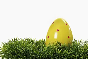 Empty Studio Background Photo Prints: Easter egg on grass