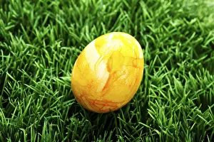 Traditional Easter Food Photography Prints: Easter egg on a lawn