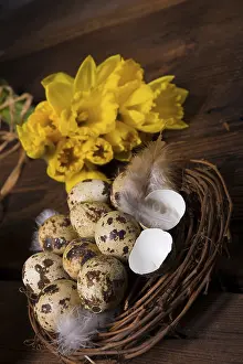 Spring Flowering Plants Prints: Easter eggs and daffodils