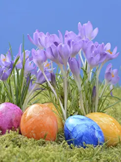 Easter Eggs Prints: Easter eggs, Easter egg, eggs, Easter