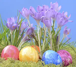 Easter Eggs Prints: Easter eggs, Easter egg, eggs, Easter