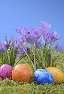Spring Flowers Prints: Easter eggs, Easter egg, eggs, Easter