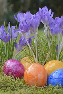 Multicolored Flowers Prints: Easter eggs, Easter egg, eggs, Easter