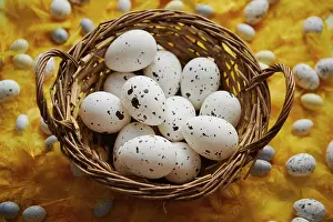 Chicken Prints: Easter Print: Springtime Chicken Egg Flat Lay