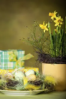 Spring Blooming Plants Prints: The easter installation with eggs and plants
