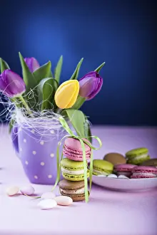 Empty Bakery Products Display Prints: The easter installation with macarons