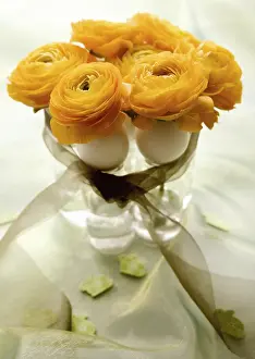 Christian Easter Tradition Prints: Easter, ranunculus in vase