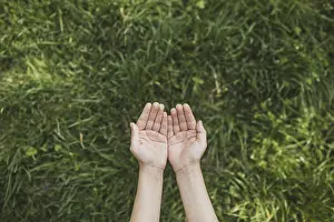 Environmental Protection Prints: Eco concept with hands