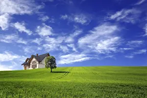 Framed Print : Eco Landscape Print Framed Print : Eco Landscape Print