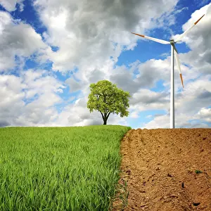 Deserted Windmill Prints: Ecology