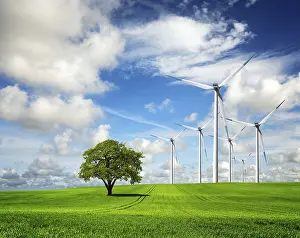Ecological Farming Prints: Ecology - Wind of change