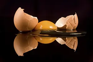Balanced Diet Ingredients Prints: Egg