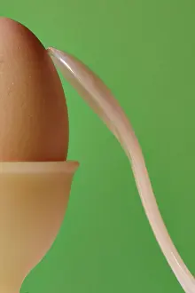 Boiled Eggs Prints: Egg cup with eggs
