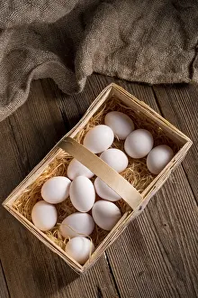 Deserted Nesting Site Prints: Eggs in the basket