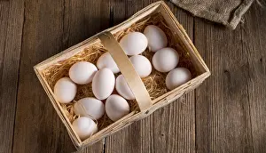 Deserted Nesting Site Prints: Eggs in the basket