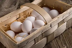 Deserted Nesting Site Prints: Eggs in the basket