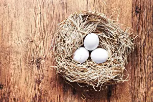 Copy Space Background Prints: Eggs in a nest, easter composition