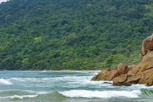Trindade Beach Prints: The encounter between the beach