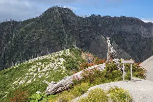 Deserted Hiking Path Prints: End of hiking path up to viewpoint
