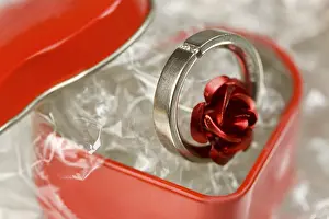 Symbolic Love Image Prints: Engagement ring, wedding ring
