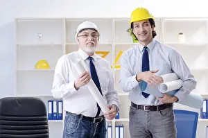 Single Person Working Prints: Two engineers colleagues working under project