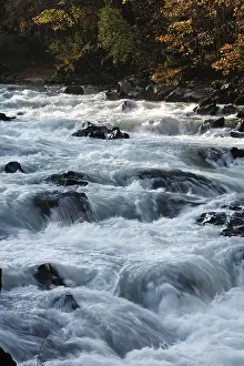 Enns River Austria Prints: Enns River in the Gesaeuse Range