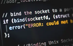 Data Security Breach Prints: Error, bug, syntax, source code