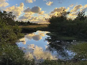 Prints of Evening clouds reflected in a small lake, Henne Strand, Jutland, Denmark Lake Prints: Evening Clouds Reflected in a Small Lake Print