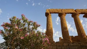 World Heritage Site Agrigento Prints: Evening light, row of columns, chapter