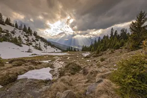 Northern Alps Scenery Prints: Evening at Loassattel, in spring