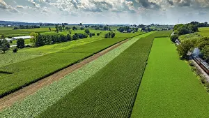 Rural Farming Practices Prints: Expansive fields stretch across the landscape