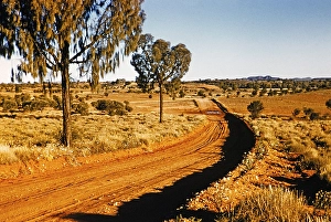 1956 Melbourne Grammar School Outback Print